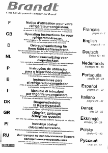 Manuale Brandt DD38AXKKA Frigorifero-congelatore