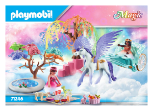 Εγχειρίδιο Playmobil set 71246 Princess Magic Πριγκίπισσες και άμαξα με πήγασο
