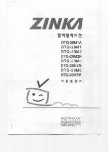 사용 설명서 진카 DTQ-25N2M 텔레비전