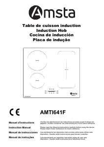 Manual Amsta AMTI641F Placa