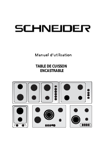 Manual de uso Schneider SCTG6031N3LPG Placa