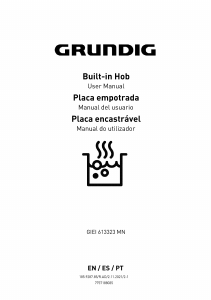 Manual de uso Grundig GIEI 613323 MN Placa