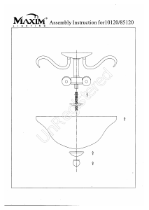 Bruksanvisning Maxim 10120ICSN Basix Lampa