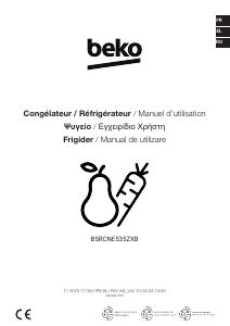 Manual BEKO B5RCNE535ZXB Combina frigorifica