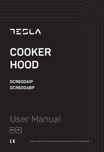 Handleiding Tesla DCR600ABP Afzuigkap