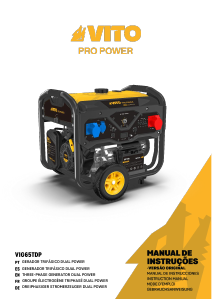 Mode d’emploi Vito VIG65TDP Générateur