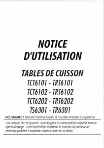 Mode d’emploi Esco TCT6202B Table de cuisson