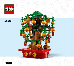 Brugsanvisning Lego set 40648 Holiday & Events Pengetræ