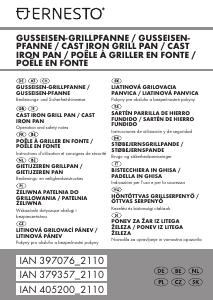 Priročnik Ernesto IAN 379357 Pisalo