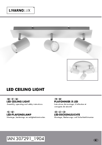 Bruksanvisning LivarnoLux IAN 307291 Lampa