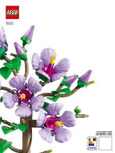 Vadovas Lego set 10372 Botanical Collection Kinrožė