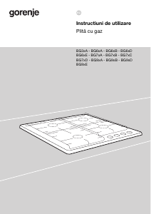 Manual Gorenje GTW6D42AB Plită