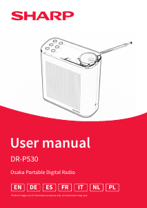 Manuale Sharp DR-P530(GY) Radio