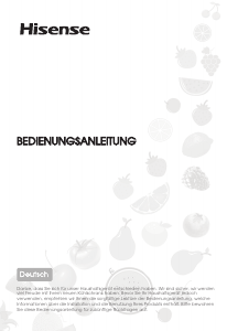 Bruksanvisning Hisense RT600N4WC2 Kyl-frys