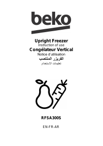 Mode d’emploi BEKO RFSA300S Congélateur