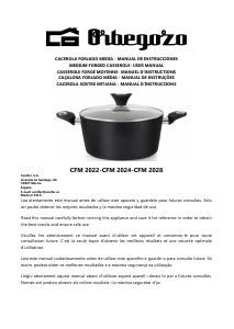 Mode d’emploi Orbegozo CFM 2024 Poêle