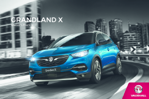 Bruksanvisning Vauxhall Grandland X (2017)