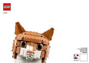 Rokasgrāmata Lego set 21376 Ideas Ruds kaķis