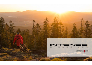 Handleiding Intense UZZI (2016) Fiets