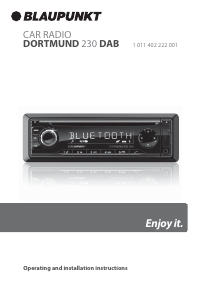 Manual Blaupunkt Dortmund 230 DAB Car Radio