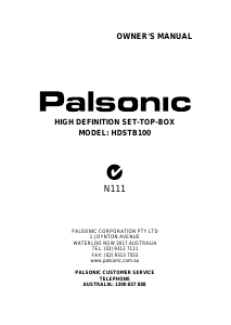 Manual Palsonic HDSTB100 Digital Receiver