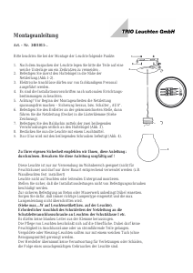 Bruksanvisning Trio 3401011-07 Edison Lampe