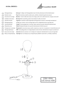Bedienungsanleitung Trio 5601011-07 Edison Leuchte