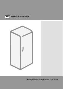 Mode d’emploi Gorenje RB4121CX Réfrigérateur