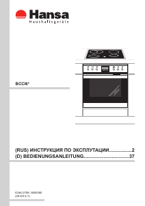 Bedienungsanleitung Hansa BCCI64596015 Herd