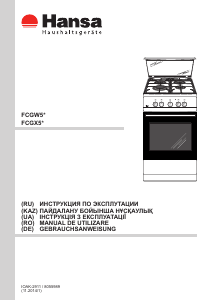 Manual Hansa FCGX53040 Aragaz