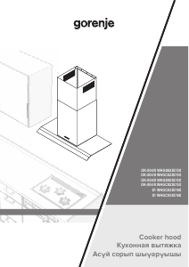 Kullanım kılavuzu Gorenje WHGC623E15X Davlumbaz