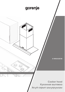 Bruksanvisning Gorenje WHGC633E16XUK Köksfläkt
