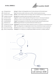Bedienungsanleitung Trio 5900011-04 Davi Leuchte
