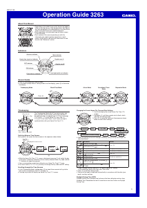 Manual Casio G-Shock GD-100MS-3ER Watch