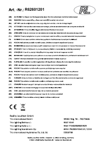 Instrukcja Reality R62601201 Putz II Lampa