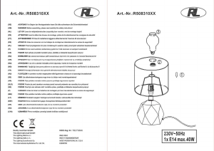 Instrukcja Reality R50831087 Pike Lampa