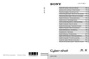 Manual de uso Sony Cyber-shot DSC-H100 Cámara digital