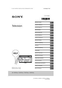 Manual Sony Bravia KD-75XF9005 Televizor LCD