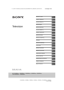 Manuale Sony Bravia KD-55XD8005 LCD televisore