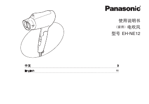Manual Panasonic EH-NE12 Hair Dryer