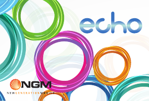 Mode d’emploi NGM Echo Téléphone portable