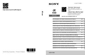 Manual Sony Alpha ILCE-5100Y Câmara digital