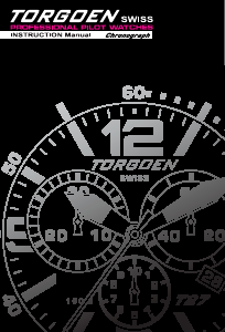 Handleiding Torgoen T18CF1IP45LB Horloge