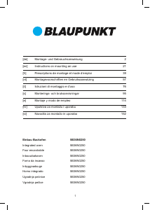 Manual de uso Blaupunkt 5B36N 0250 Horno