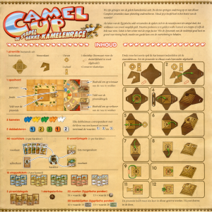 Handleiding 999 Games Camel Up