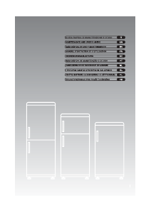 Mode d’emploi Candy CRDN 6184 X Réfrigérateur combiné