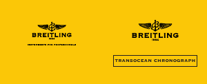 Руководство Breitling Transocean Chronograph Наручные часы