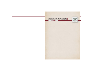 Bruksanvisning Vortex Crossfire II 10x42 Kikare