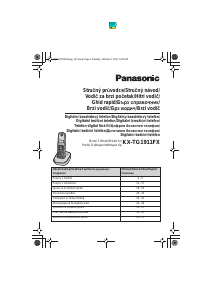 Manual Panasonic KX-TG1911FX Telefon wireless