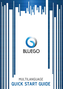 Mode d’emploi Bluego A-451 Téléphone portable